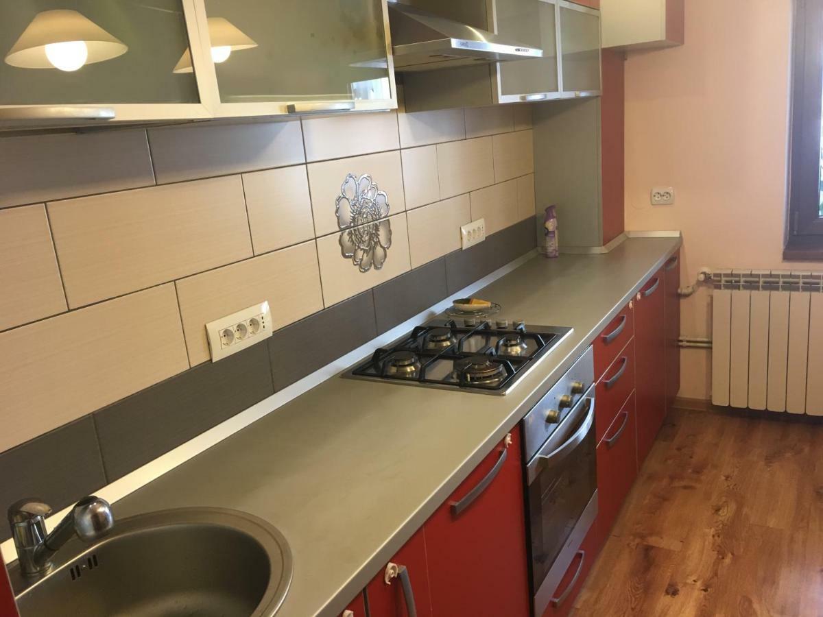 Apartament Antonia Apartment Tirgu Ocna Ngoại thất bức ảnh