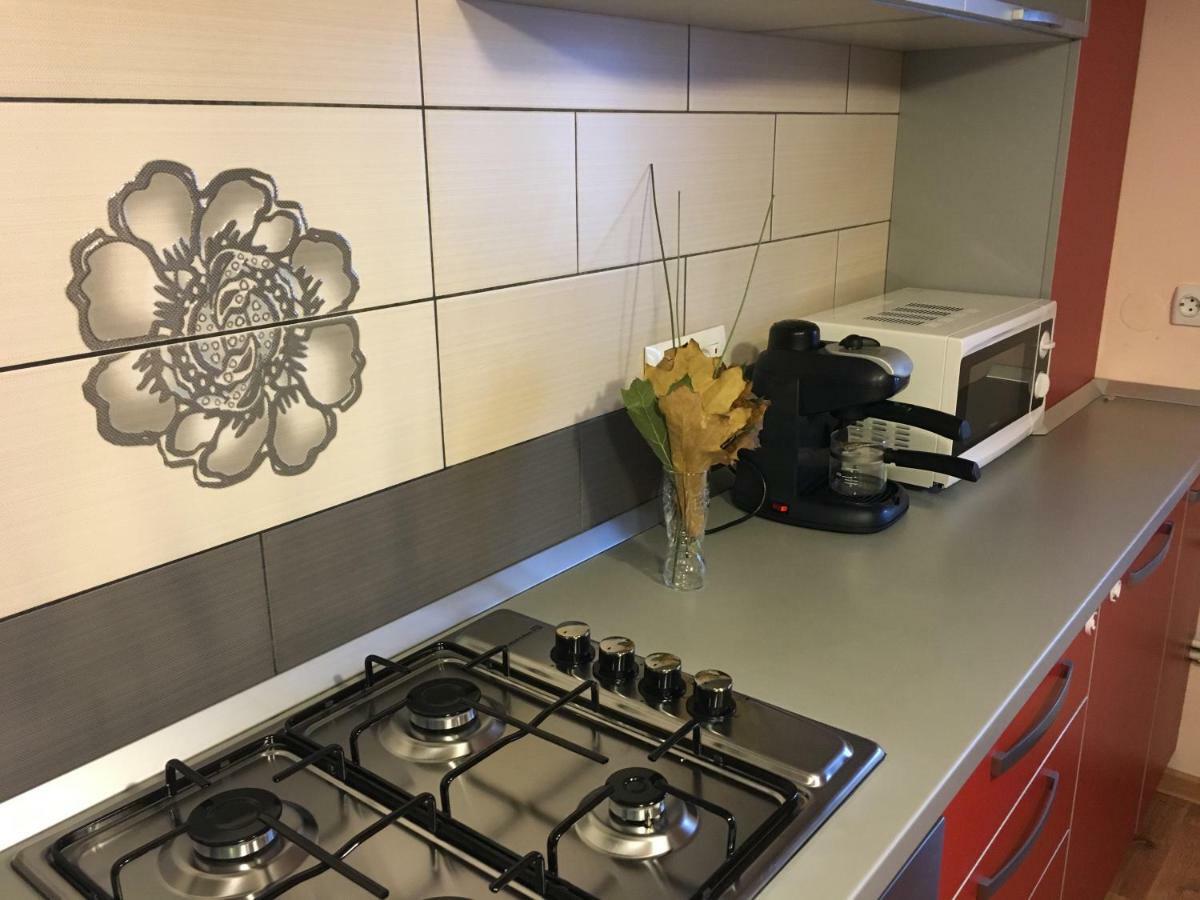 Apartament Antonia Apartment Tirgu Ocna Ngoại thất bức ảnh